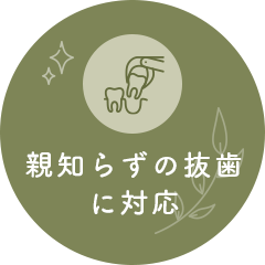 親知らずの抜歯に対応